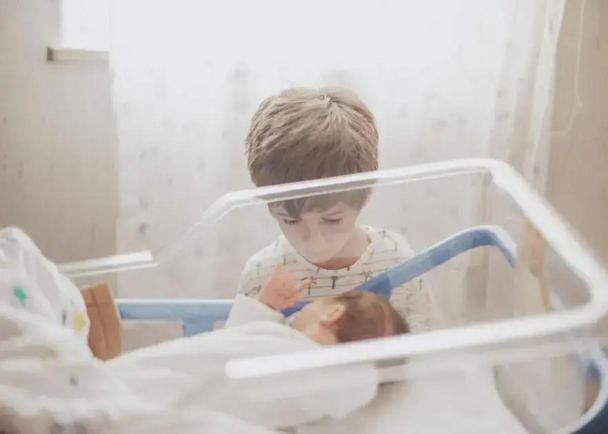 Incubadora Neonatal: Por Que Ela é Essencial para o Desenvolvimento de Prematuros